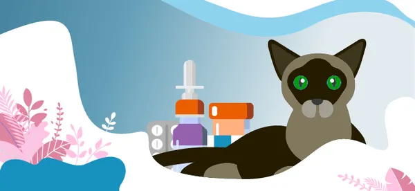Аллергия на кошек: что ее вызывает, с чем можно перепутать и как лечить. Как избавиться от котов. 4