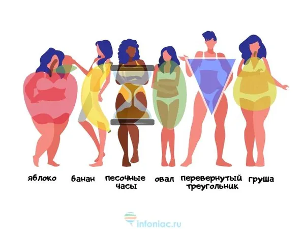 разные формы тел женщин