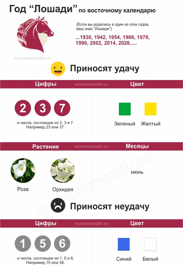 Инфографика: характеристика 2014 года Лошади