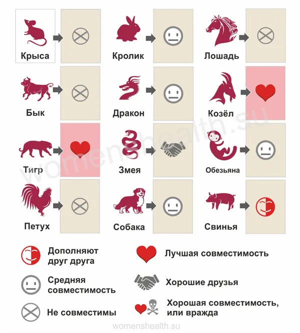 Инфографика: прогноз совместимости и любовных отношений для 2014 года Лошади
