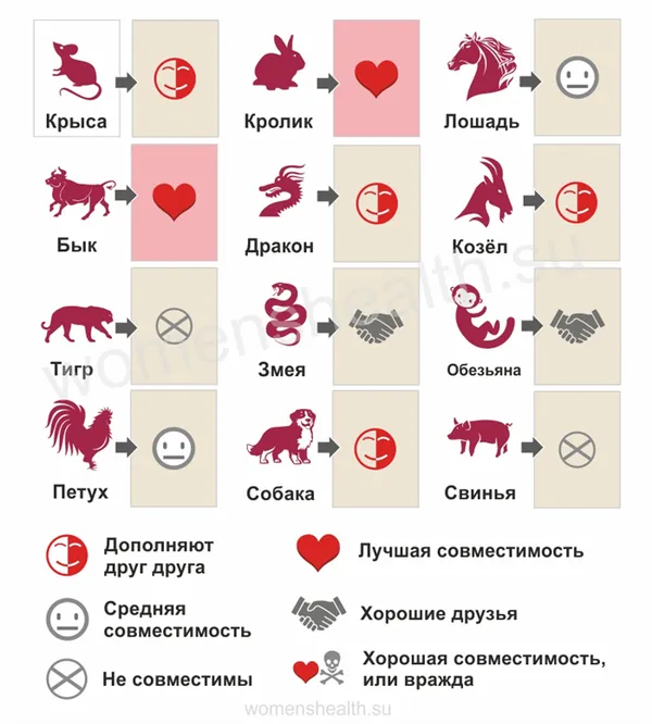 Инфографика: прогноз совместимости и любовных отношений для 2016 года Обезьяны