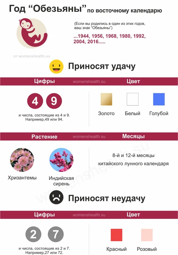 Инфографика: характеристика 2016 года Обезьяны