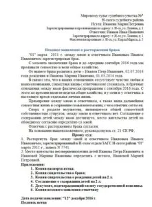 Как пережить развод с двумя детьми и остаться сильной. Развод с двумя детьми. 13