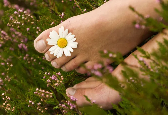 Грибок ногтей на ногах — средства для лечения. Средство от грибка ногтей на ногах отзывы. 7