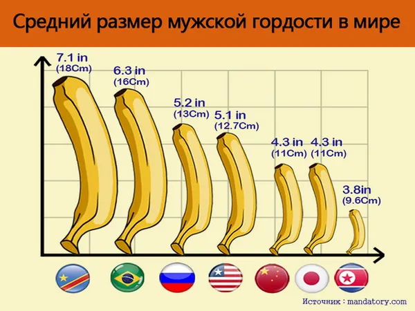 Статистические данные