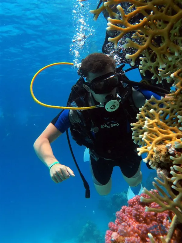 Риф в Шарме прогулка с аквалангом