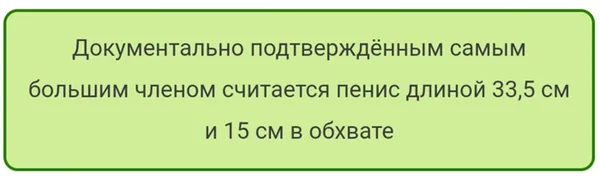 Средняя длина полового члена: данные статистики и факты. Сколько см у парней. 14