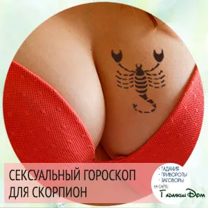 сексуальный гороскоп скорпион
