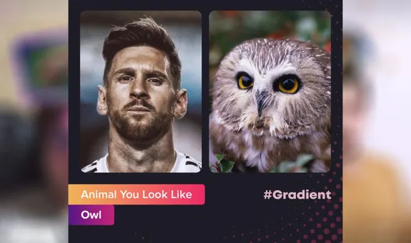 Сравнение человеческих фото с совой