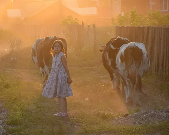 Отвожу детей в школу и иду доить коров». Переезд из города в деревню — опыт одной семьи. Переезд в деревню из города. 7