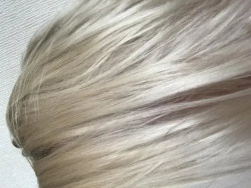 Как покрасить волосы в русый цвет без зеленого оттенка. Для здоровья волос: причины появления зеленого оттенка 06