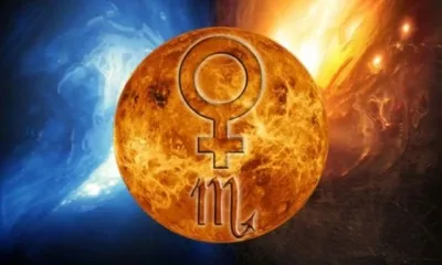 Характеристика Венеры в Скорпионе у женщин. Кармические задачи, проявления, проработка и совместимость. Венера в скорпионе у женщины. 42