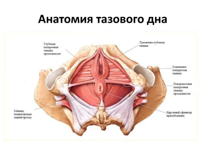 Почему во время секса возникают хлюпающие звуки и как их утихомирить 27