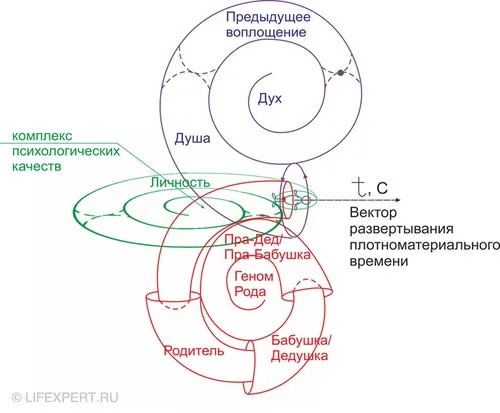 Ариэль Шарон в коме. Инсталляция израильского художника Ноама Браславского