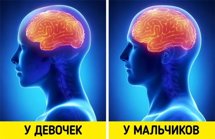 Связь между насилием и курением