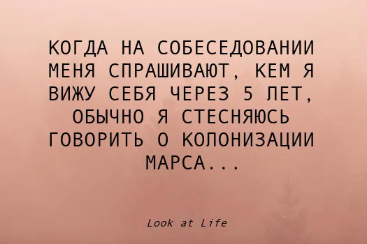 Где искать вакансии, на какие откликаться и как распознать сомнительные