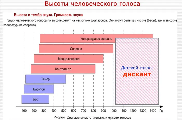 Диапазоны частот женских и мужских голосов