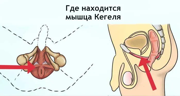 Как мужчине быстро кончить, лучшие способы достичь оргазма 8