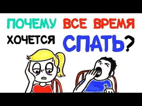 Почему все время хочется спать? AsapSCIENCE