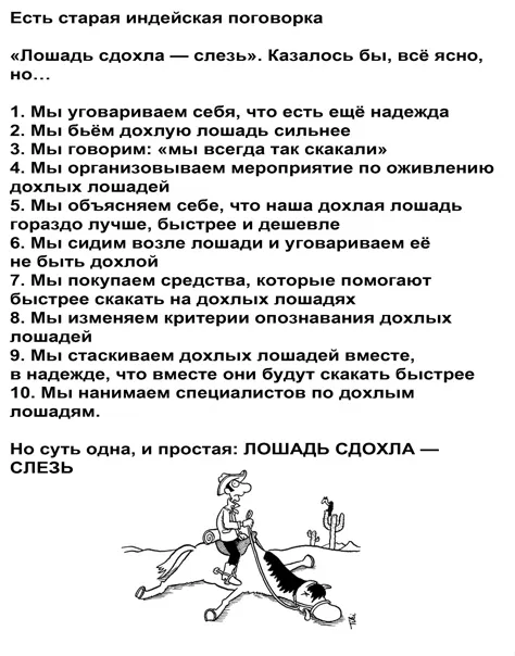 Мертвые отношения. 10 признаков: что лошадь сдохла, нужно слезть 8